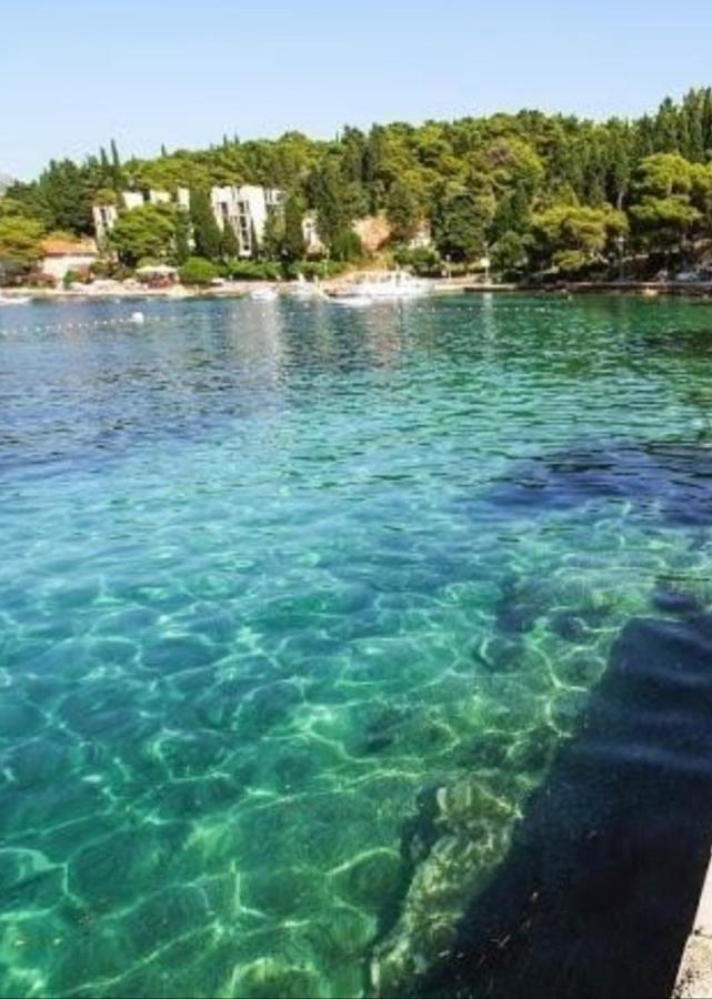 Bianchi Διαμέρισμα Cavtat Εξωτερικό φωτογραφία