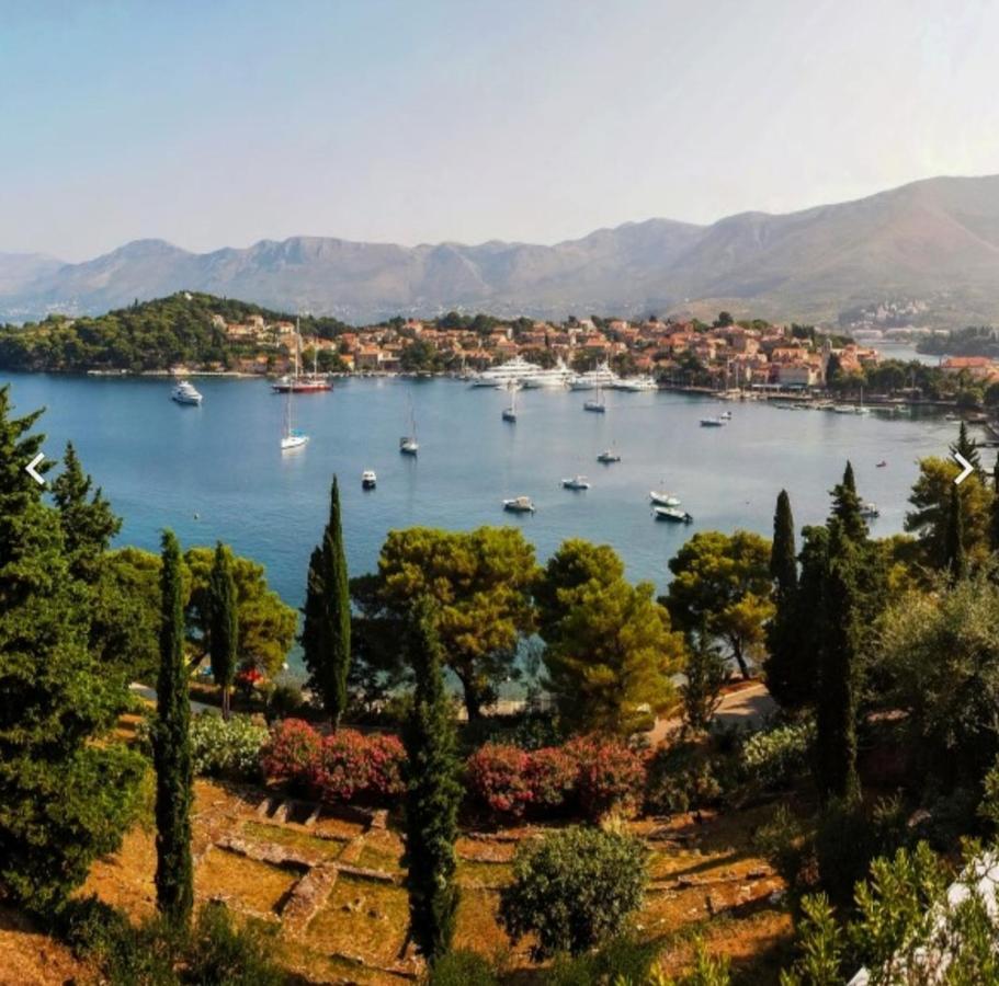 Bianchi Διαμέρισμα Cavtat Εξωτερικό φωτογραφία
