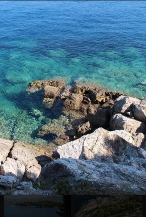 Bianchi Διαμέρισμα Cavtat Εξωτερικό φωτογραφία