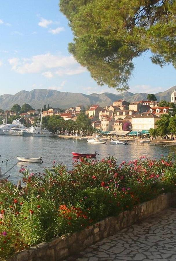 Bianchi Διαμέρισμα Cavtat Εξωτερικό φωτογραφία