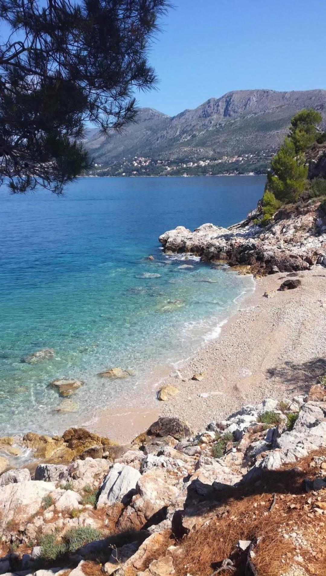 Bianchi Διαμέρισμα Cavtat Δωμάτιο φωτογραφία